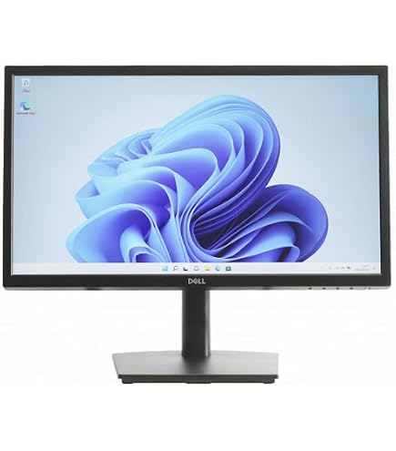 Amazon.co.jp: 【整備済み品】 E E2222HS [液晶ディスプレイ 21.5型